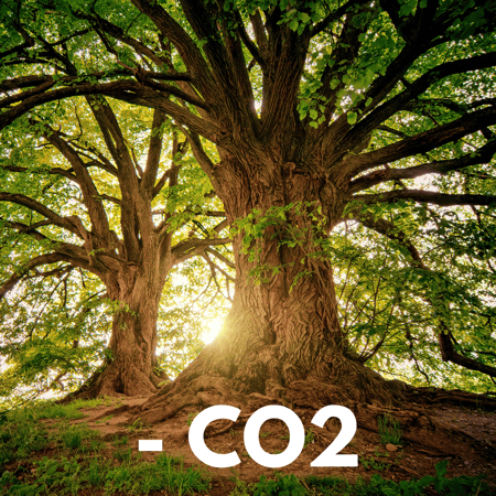 - CO2 - CO2