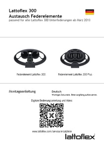 9600473221000_Montageanleitung_Austausch Federelemente 300