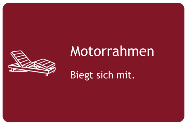 Kachel_Motorrahmen_v2_600x400px Kachel_Motorrahmen_v2_600x400px